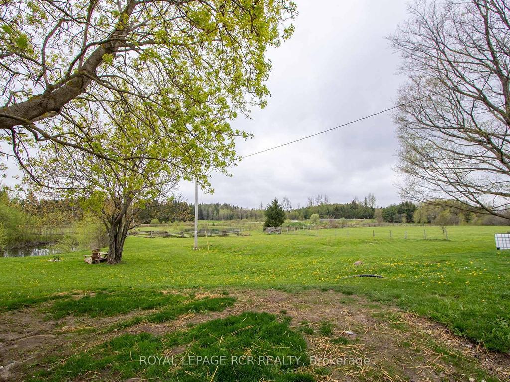 









125795


Southgate Rd 12

Road,
Southgate,




ON
N0C 1B0

