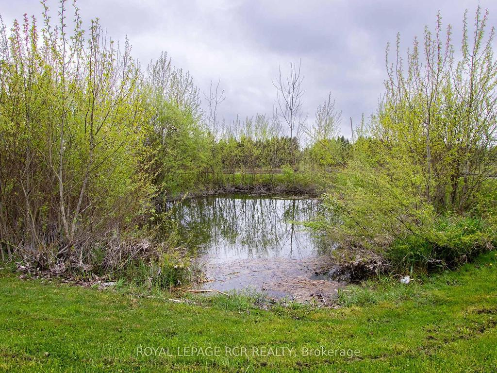 









125795


Southgate Rd 12

Road,
Southgate,




ON
N0C 1B0

