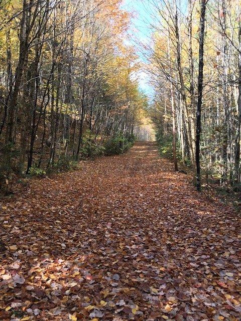 









3866


Ch. des Hauteurs

,
Sainte-Lucie-des-Laurentides,







QC
J0T2J0

