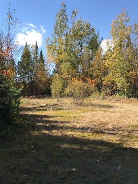 









3866


Ch. des Hauteurs

,
Sainte-Lucie-des-Laurentides,







QC
J0T2J0


