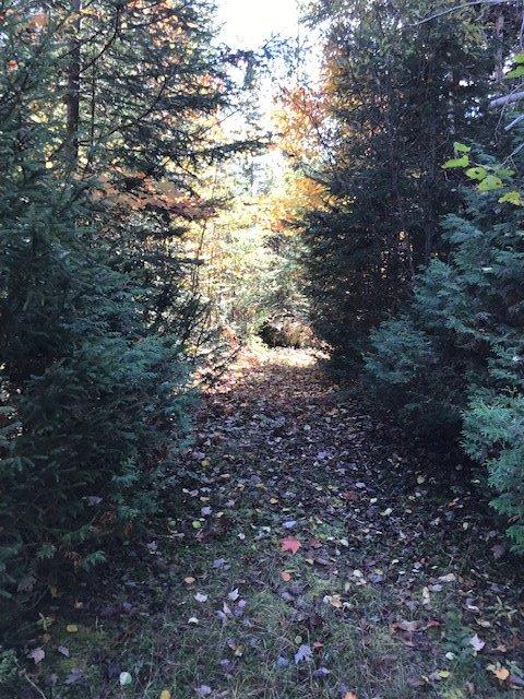 









3866


Ch. des Hauteurs

,
Sainte-Lucie-des-Laurentides,







QC
J0T2J0

