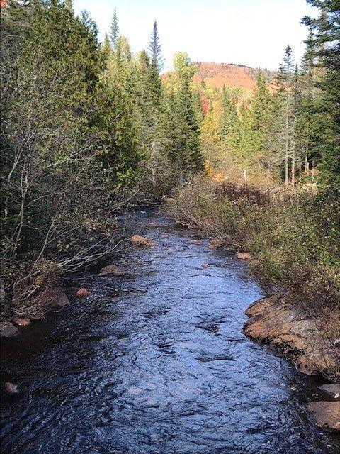 









3866


Ch. des Hauteurs

,
Sainte-Lucie-des-Laurentides,







QC
J0T2J0

