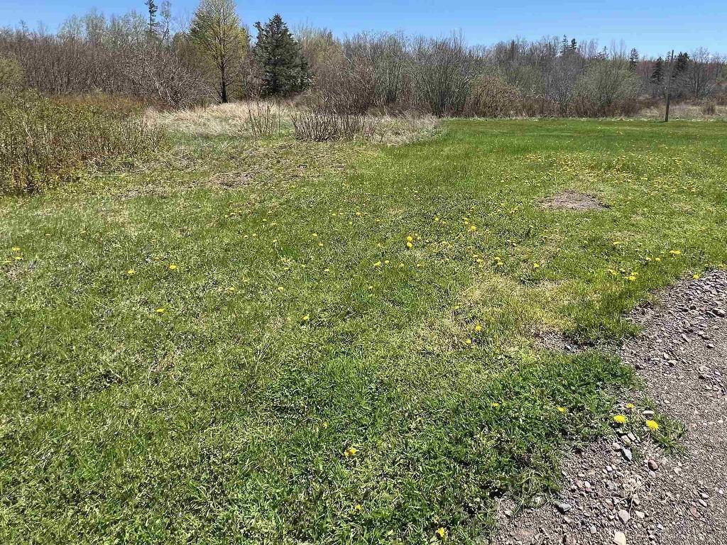 












1922 Upper River John Road, MIDDLETON

,
Middleton,




NS
B0K 1N0

