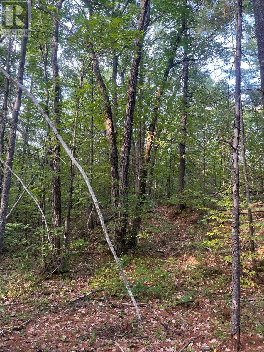 












0 BUCHOLTZ ROAD

,
Laurentian Valley,







Ontario
K8A6W8

