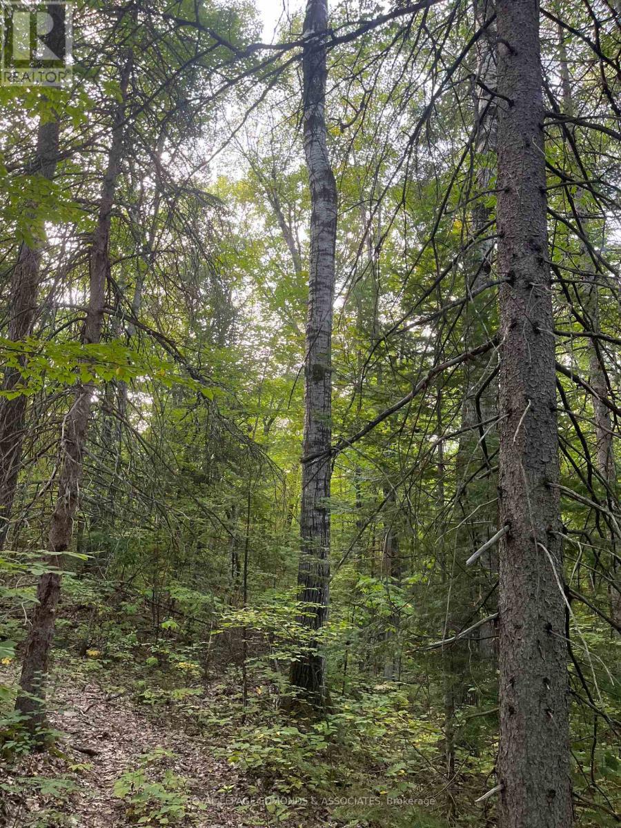 












0 BUCHOLTZ ROAD

,
Laurentian Valley,







Ontario
K8A6W8

