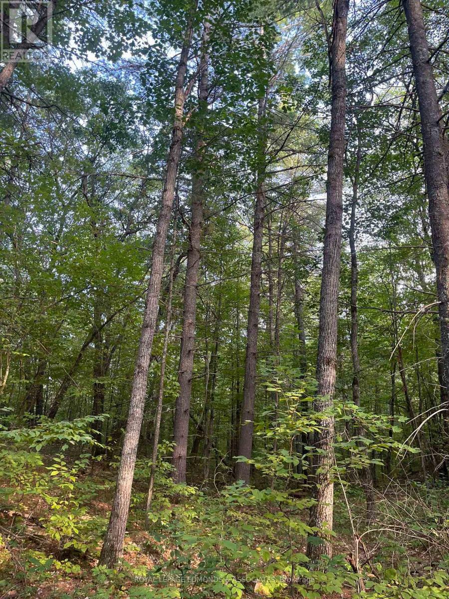 












0 BUCHOLTZ ROAD

,
Laurentian Valley,







Ontario
K8A6W8

