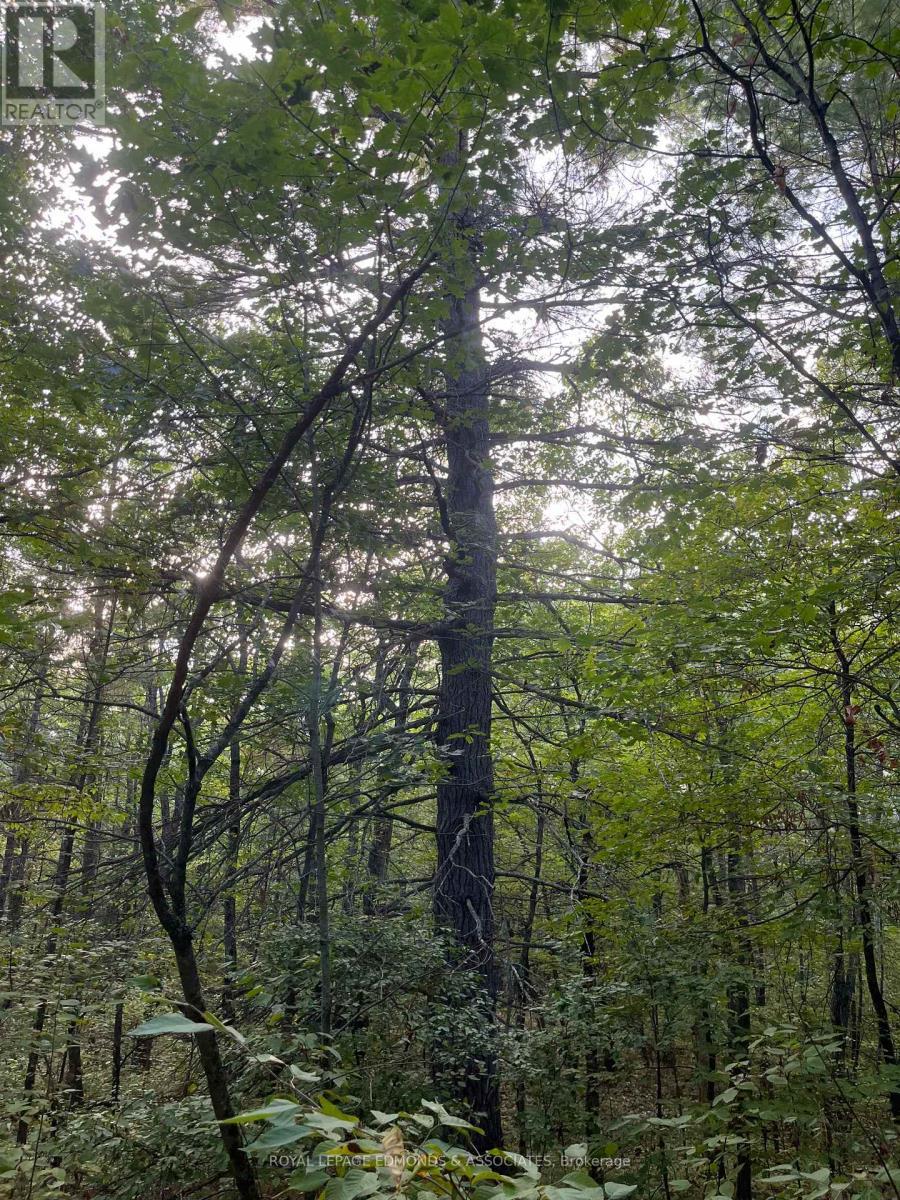 












0 BUCHOLTZ ROAD

,
Laurentian Valley,







Ontario
K8A6W8

