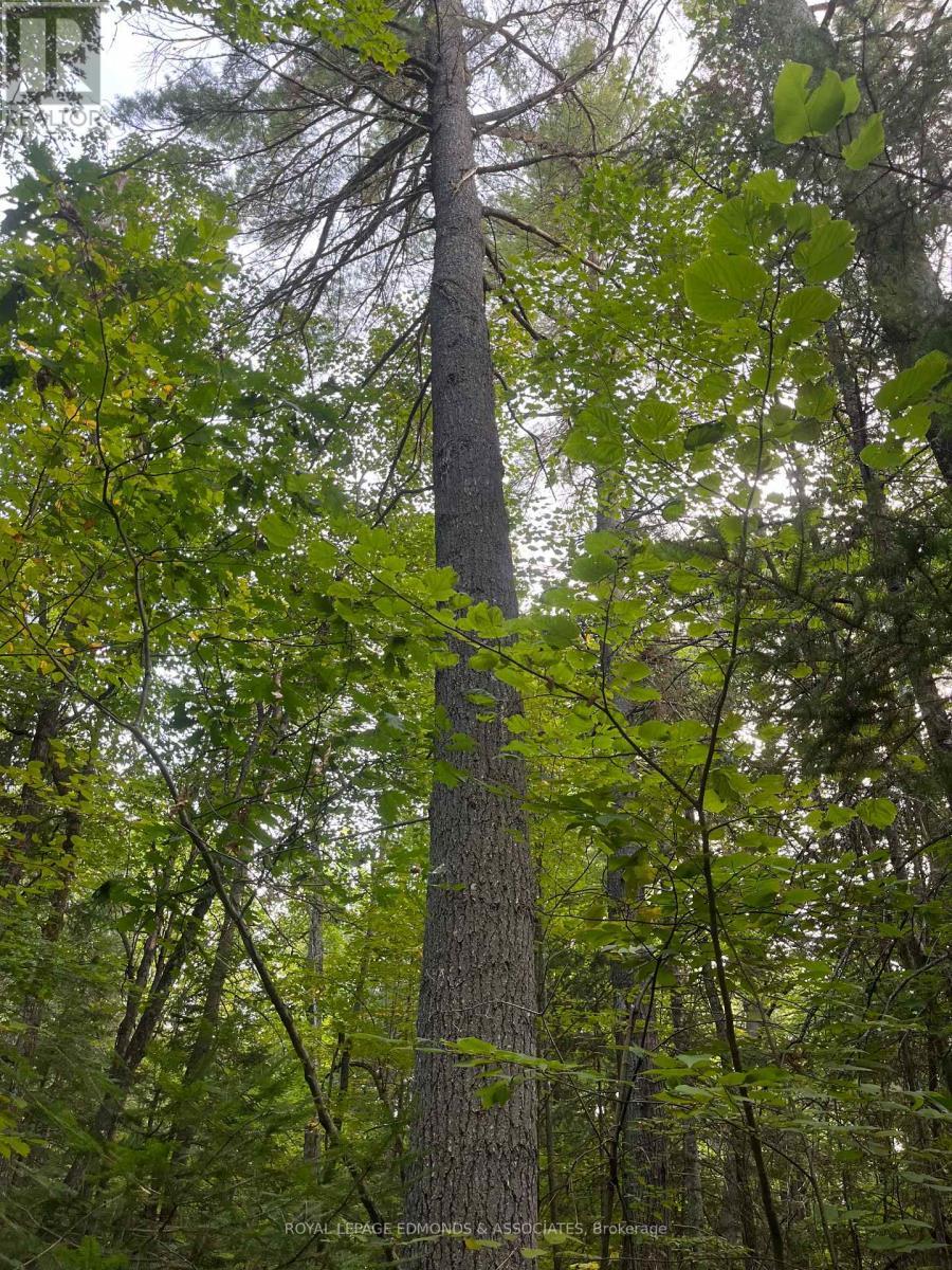












0 BUCHOLTZ ROAD

,
Laurentian Valley,







Ontario
K8A6W8

