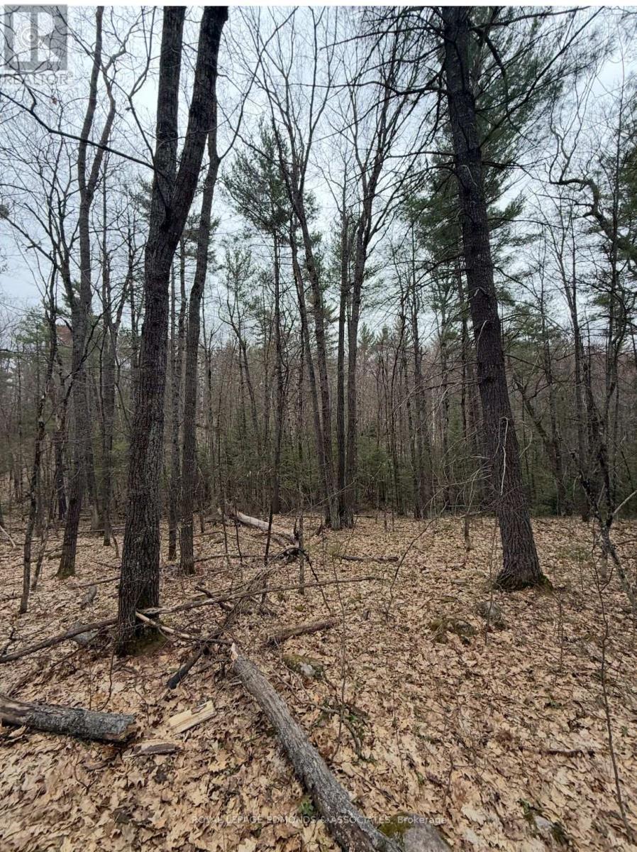 












0 BUCHOLTZ ROAD

,
Laurentian Valley,







Ontario
K8A6W8

