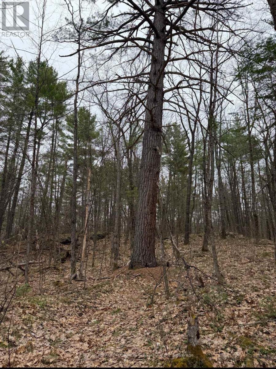 












0 BUCHOLTZ ROAD

,
Laurentian Valley,







Ontario
K8A6W8

