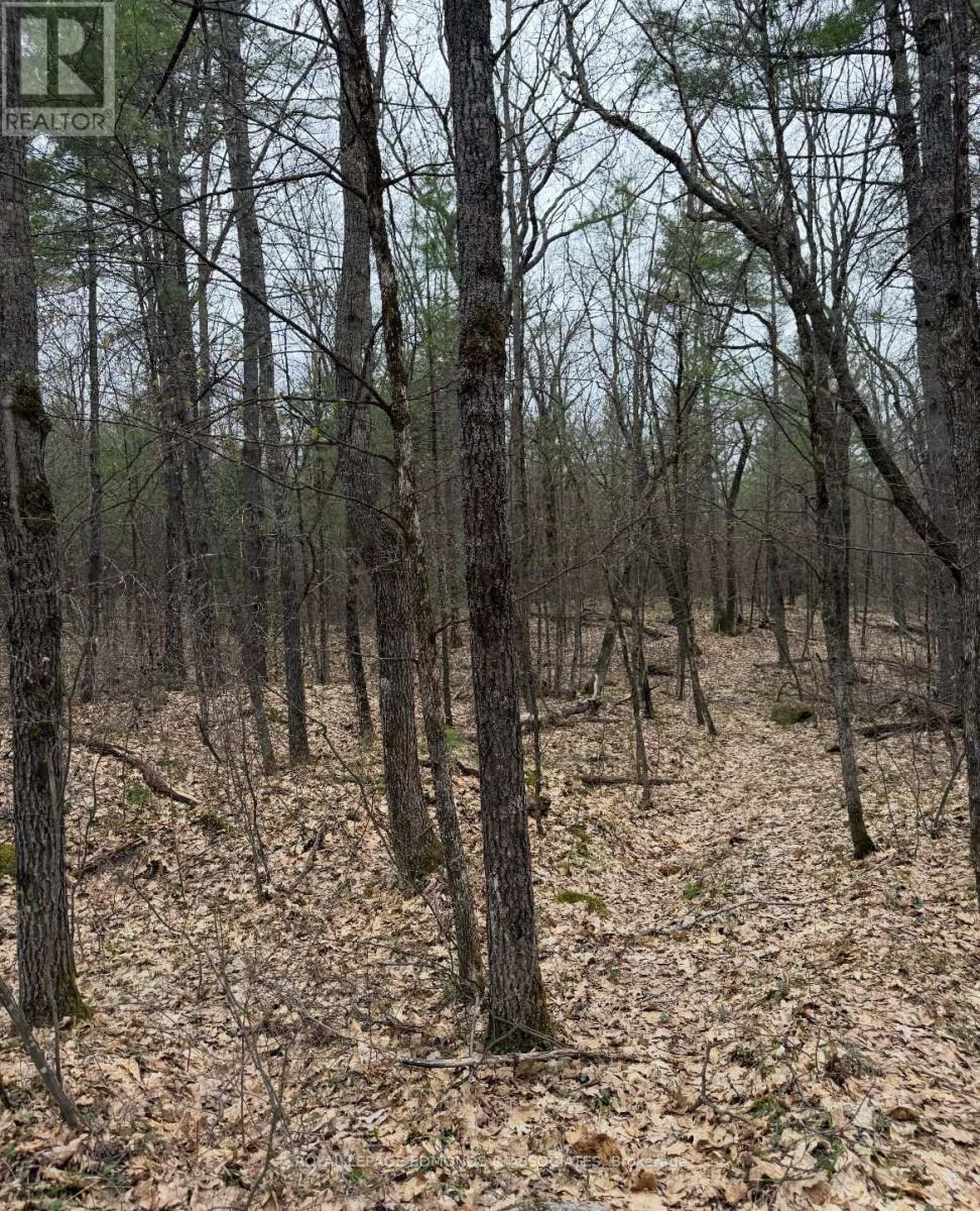 












0 BUCHOLTZ ROAD

,
Laurentian Valley,







Ontario
K8A6W8

