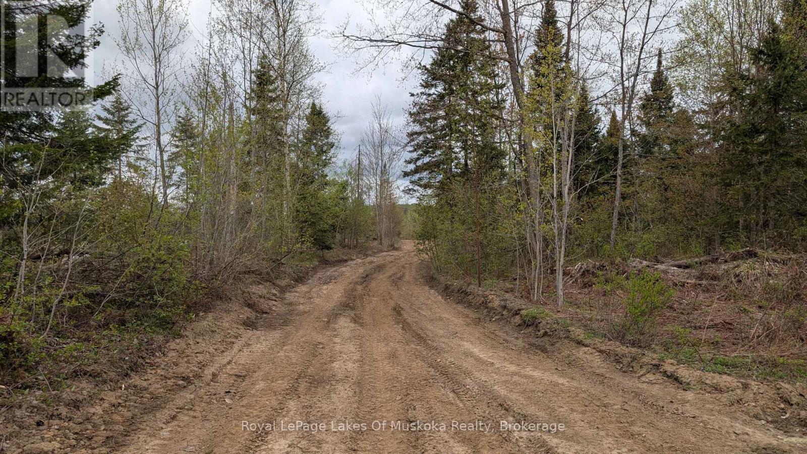 












395 STEPHENSON 1 ROAD E

,
Bracebridge (Macaulay),







Ontario
P0B1L0


