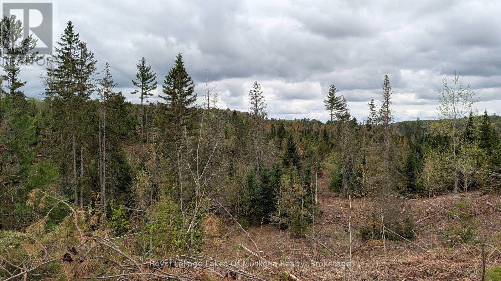 












395 STEPHENSON 1 ROAD E

,
Bracebridge (Macaulay),







Ontario
P0B1L0


