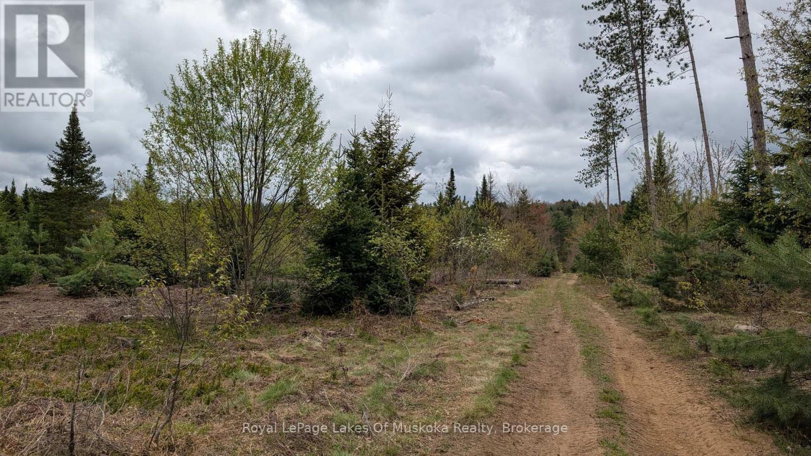 












395 STEPHENSON 1 ROAD E

,
Bracebridge (Macaulay),







Ontario
P0B1L0

