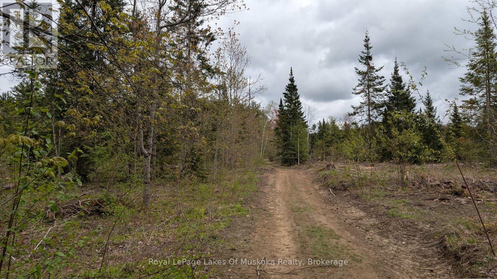 












395 STEPHENSON 1 ROAD E

,
Bracebridge (Macaulay),







Ontario
P0B1L0

