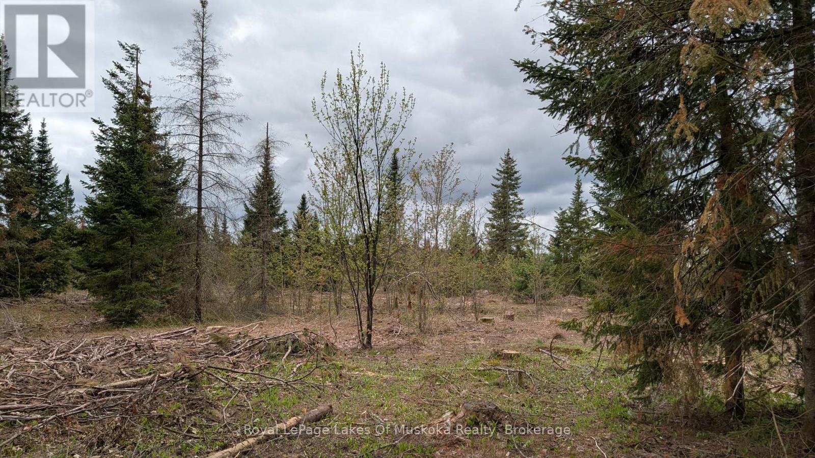 












395 STEPHENSON 1 ROAD E

,
Bracebridge (Macaulay),







Ontario
P0B1L0

