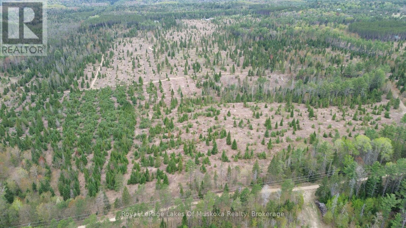 












395 STEPHENSON 1 ROAD E

,
Bracebridge (Macaulay),







Ontario
P0B1L0

