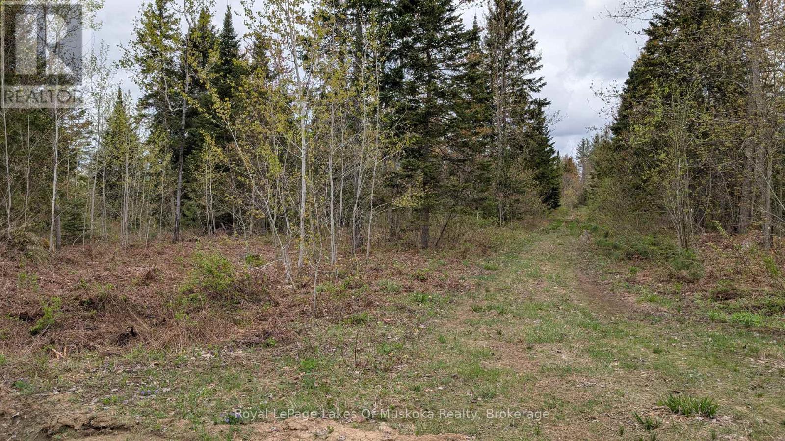 












395 STEPHENSON 1 ROAD E

,
Bracebridge (Macaulay),







Ontario
P0B1L0

