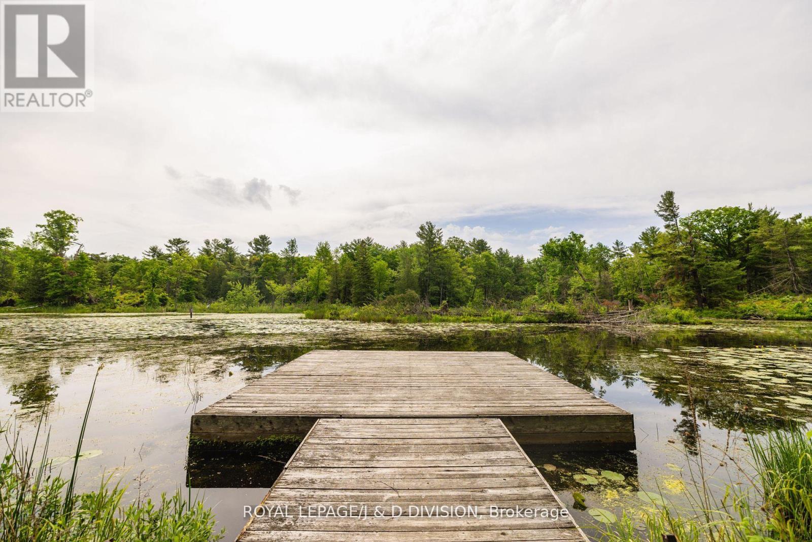 












50 FIRE ROUTE 10B

,
North Kawartha,




Ontario
K0L3E0

