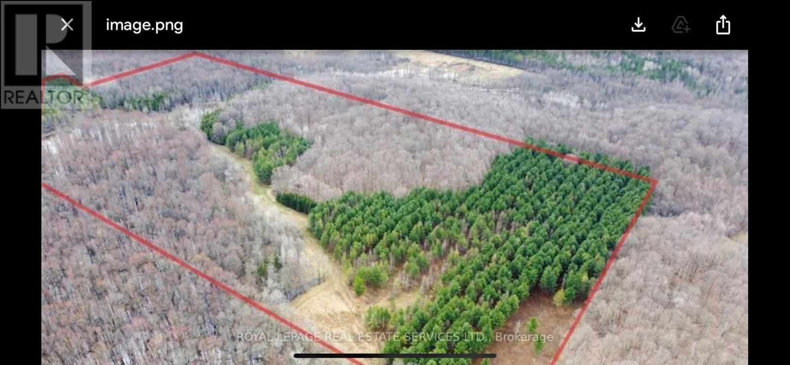 












PT LOT 13 CONCESSION 7 CONCESSION

,
Georgian Bluffs,







Ontario
N4K5N5

