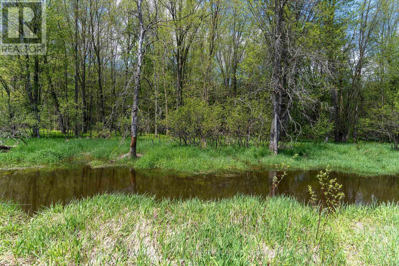 












PT LOT 13 CONCESSION 7 CONCESSION

,
Georgian Bluffs,







Ontario
N4K5N5

