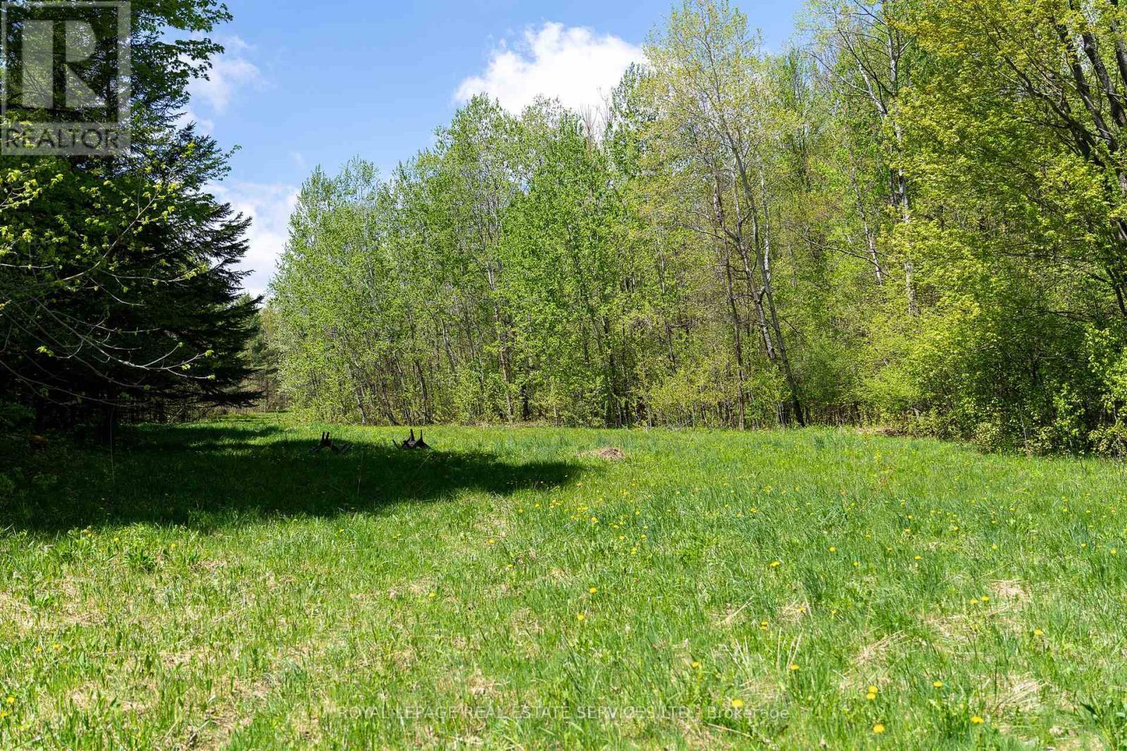 












PT LOT 13 CONCESSION 7 CONCESSION

,
Georgian Bluffs,







Ontario
N4K5N5

