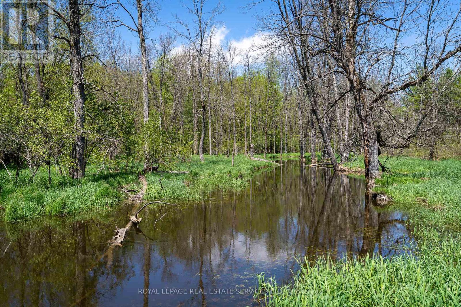 












PT LOT 13 CONCESSION 7 CONCESSION

,
Georgian Bluffs,







Ontario
N4K5N5

