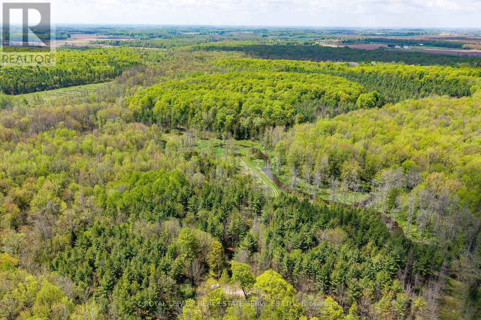 












PT LOT 13 CONCESSION 7 CONCESSION

,
Georgian Bluffs,







Ontario
N4K5N5

