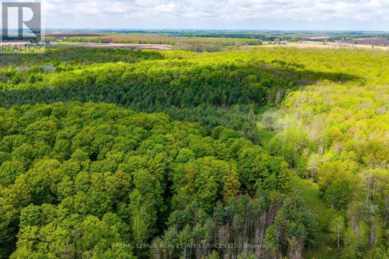 












PT LOT 13 CONCESSION 7 CONCESSION

,
Georgian Bluffs,







Ontario
N4K5N5


