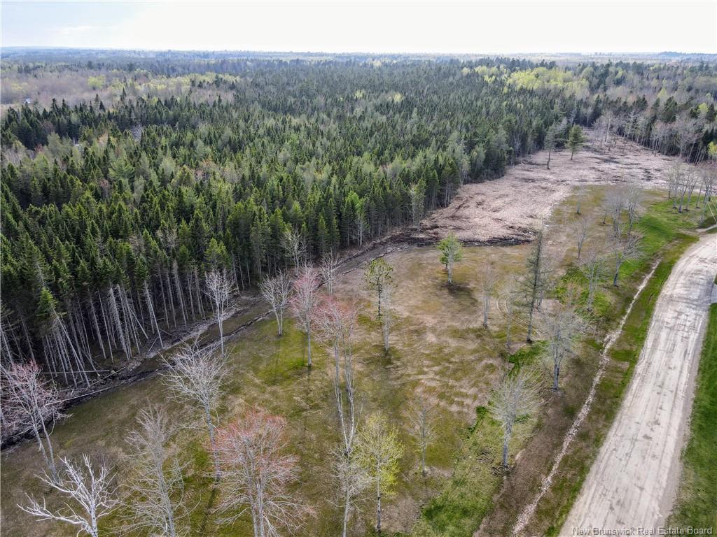 









Lot


Eveline

RD,
Saint-Louis-De-Kent,







NB
E4X 0A5


