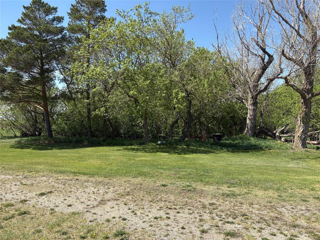 












74083 21 Highway

,
Hamiota,







Manitoba
R0M0T0

