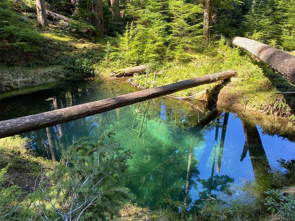 









DL 904


Quartz

Bay,
Cortes Island,







BC
V0V 0V0

