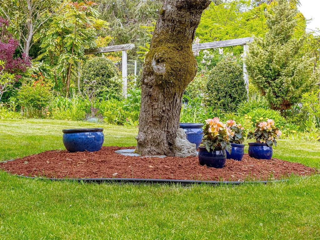 









2195


Ferndale

Rd,
Saanich,




BC
V8N 2Z2

