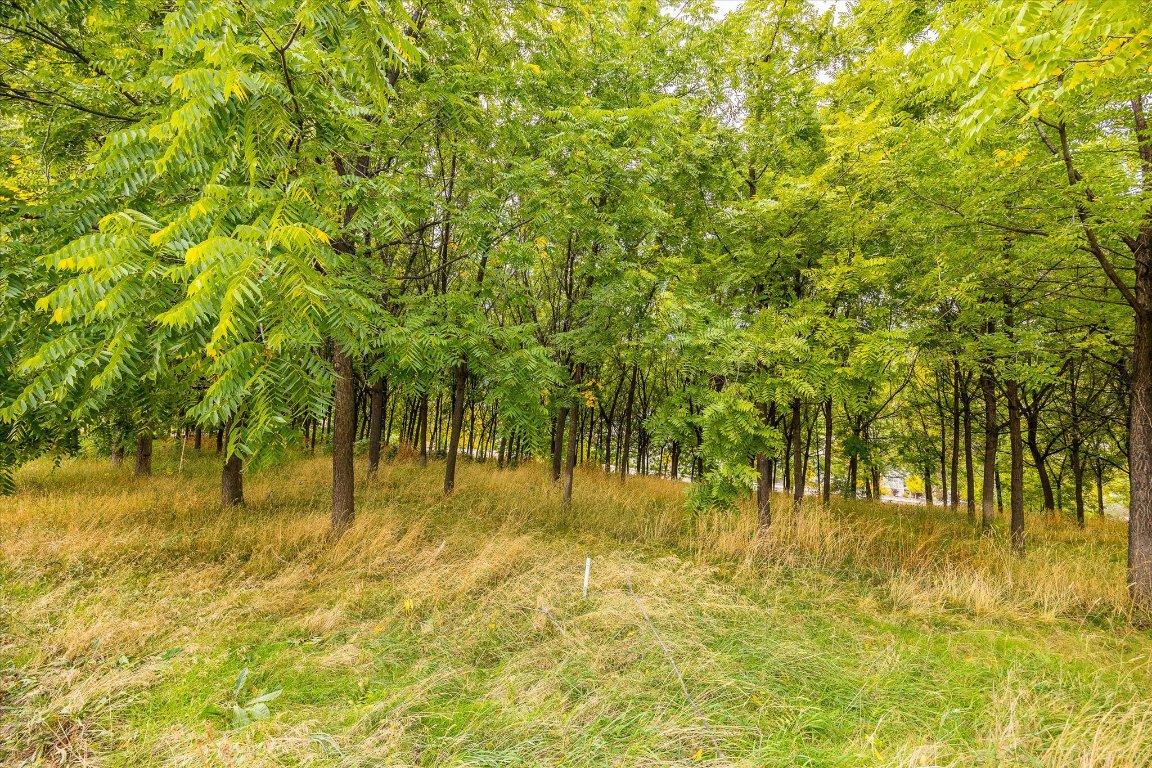 









848


Webster

Road,
Kelowna,




BC
V1P 1C2

