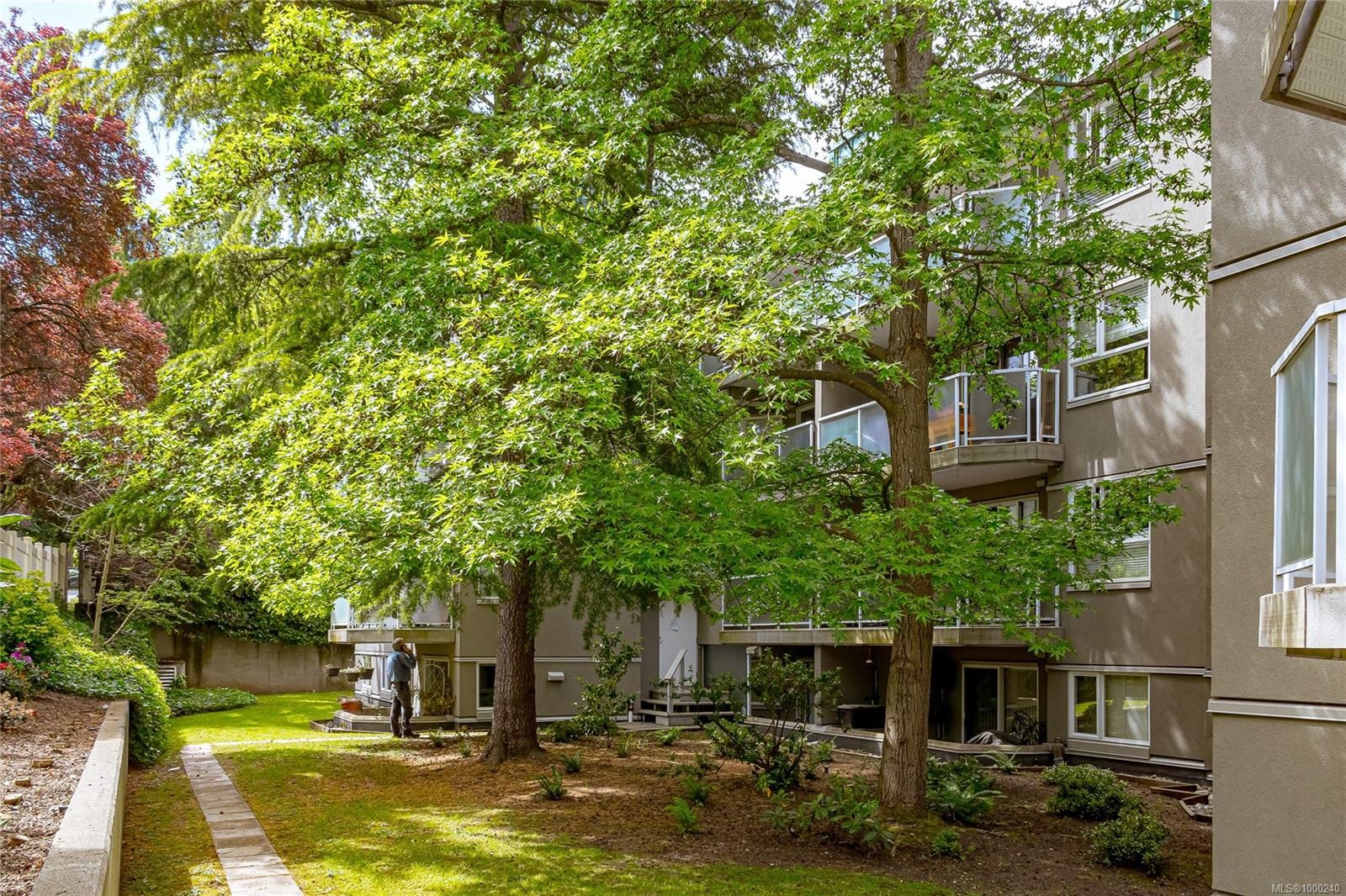 









2520


Wark

St, 114,
Victoria,




BC
V8T 5G6

