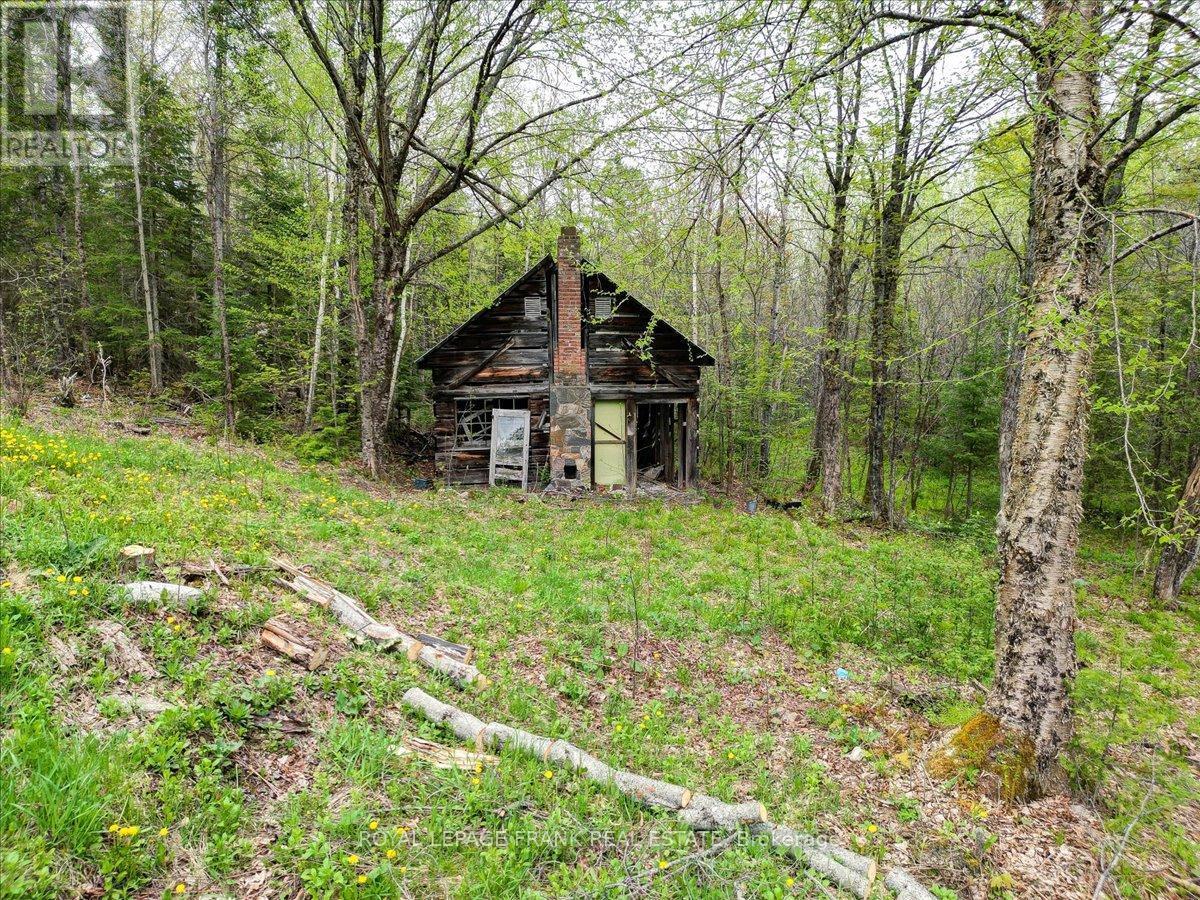 












1019 ANDERSON ROAD

,
Highlands East (Monmouth),




Ontario
K0L2Y0

