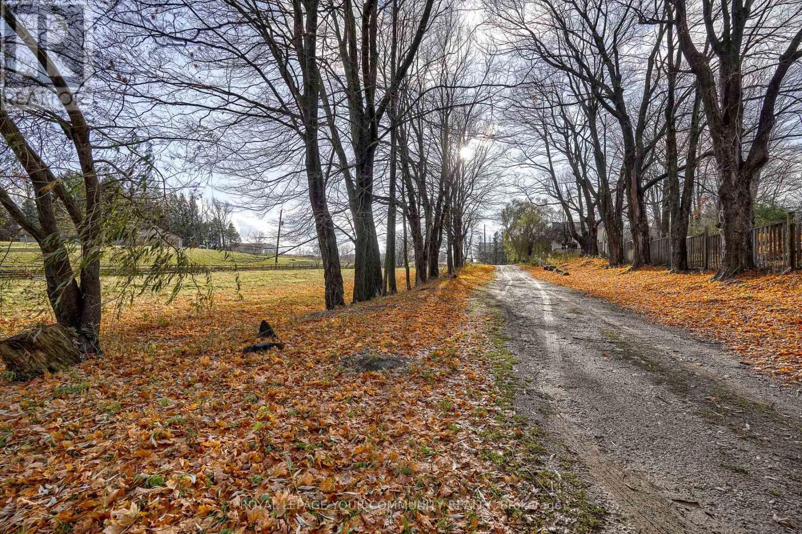 












20364 ST. ANDREWS ROAD

,
Caledon,




Ontario
L7K2C9

