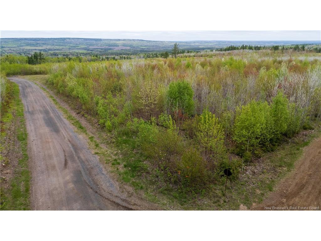 









LOT 37


Davidson

RD,
Anagance,







NB
E4Z 1E1

