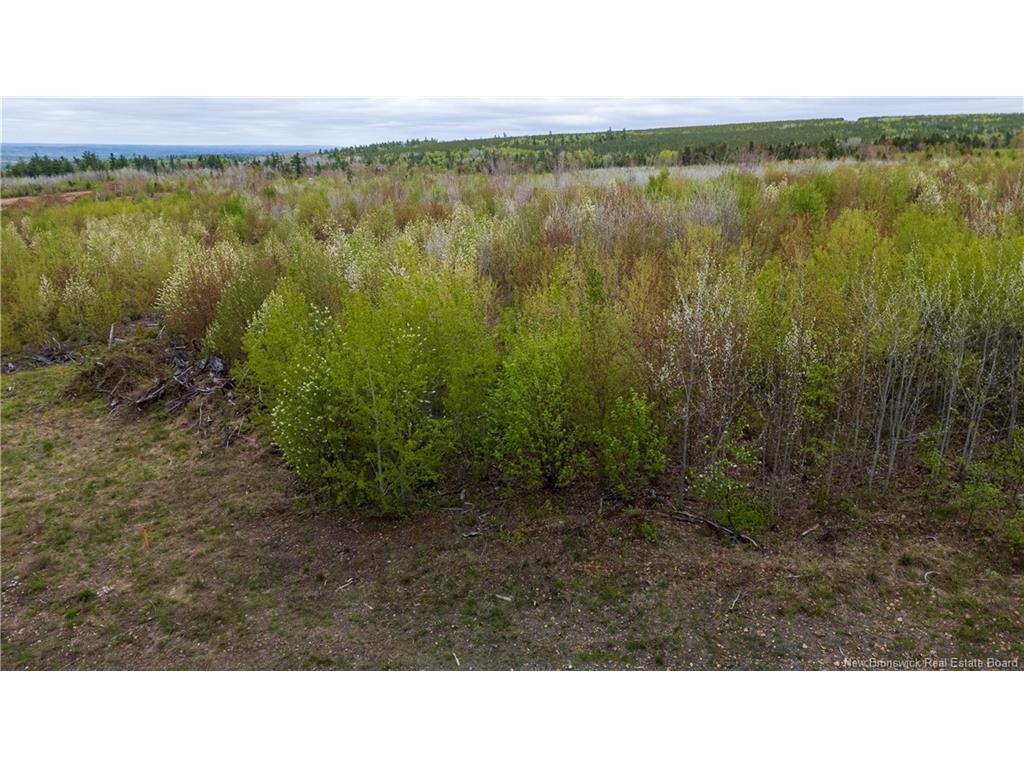 









LOT 37


Davidson

RD,
Anagance,







NB
E4Z 1E1

