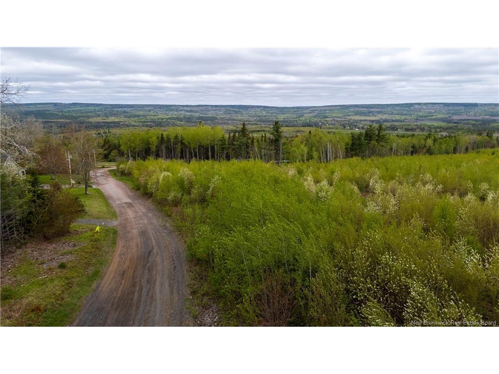









LOT 37


Davidson

RD,
Anagance,







NB
E4Z 1E1

