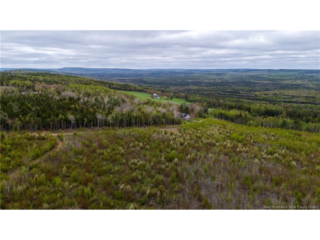 









LOT 37


Davidson

RD,
Anagance,







NB
E4Z 1E1

