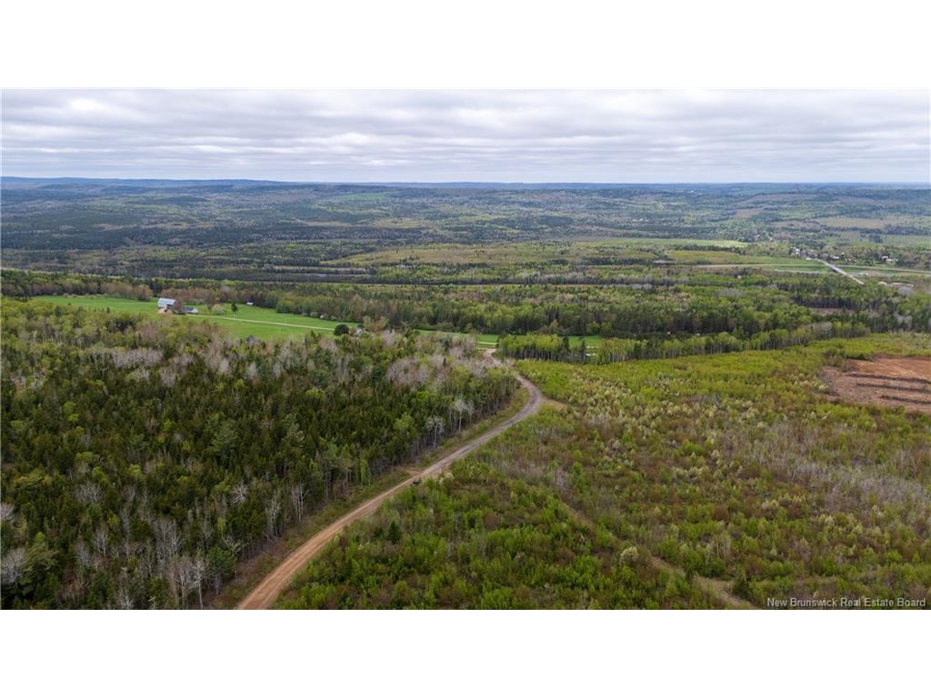 









LOT 37


Davidson

RD,
Anagance,







NB
E4Z 1E1

