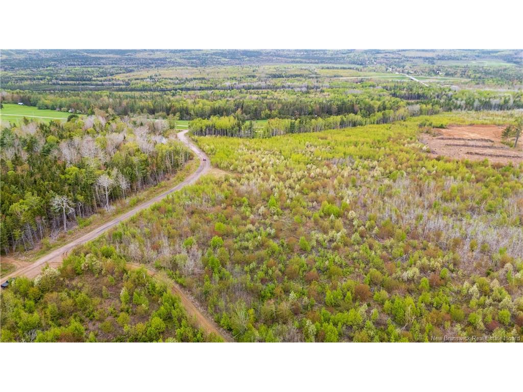 









LOT 37


Davidson

RD,
Anagance,







NB
E4Z 1E1

