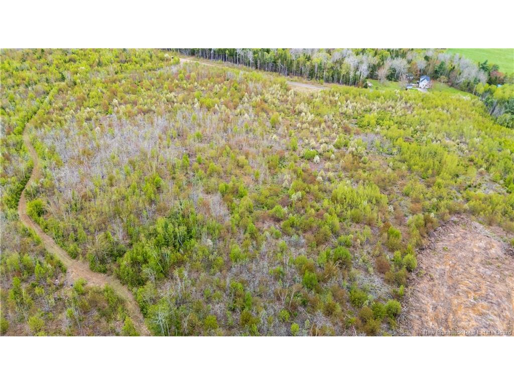 









LOT 37


Davidson

RD,
Anagance,







NB
E4Z 1E1

