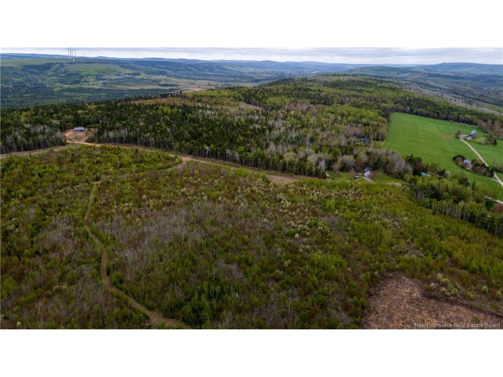 









LOT 37


Davidson

RD,
Anagance,







NB
E4Z 1E1

