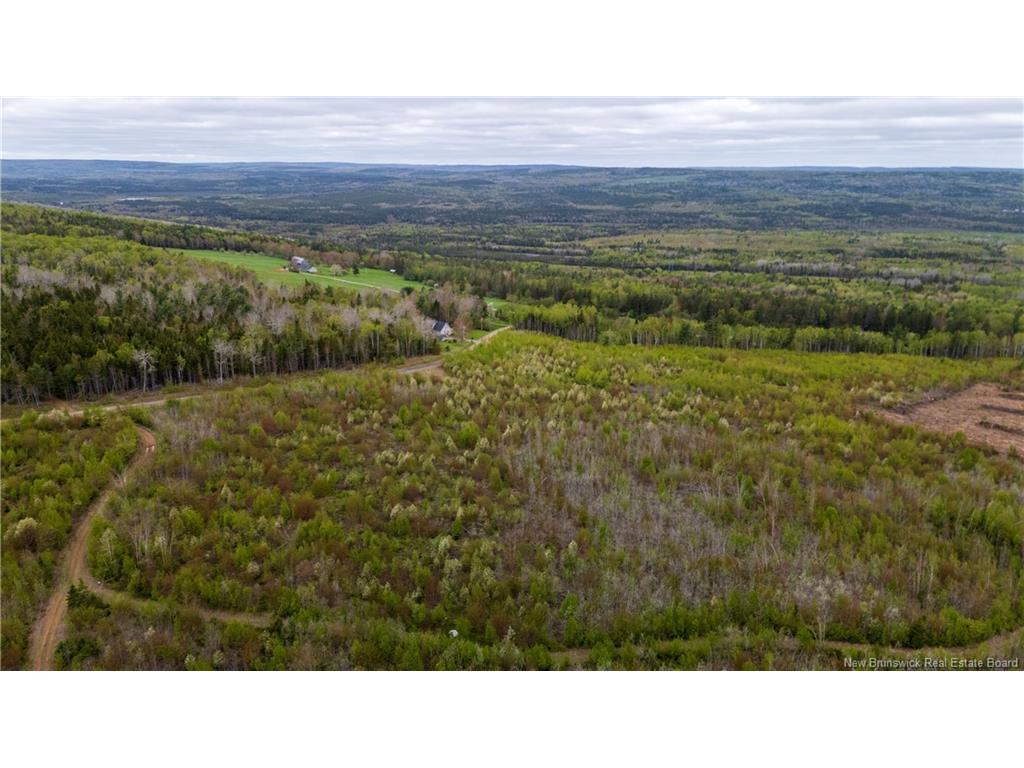 









LOT 37


Davidson

RD,
Anagance,







NB
E4Z 1E1


