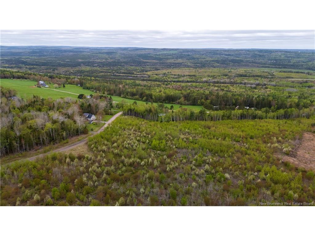 









LOT 37


Davidson

RD,
Anagance,







NB
E4Z 1E1

