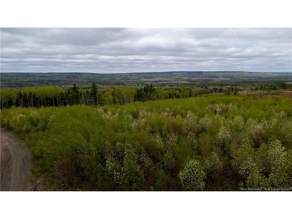 









LOT 38


Davidson

RD,
Anagance,







NB
E4Z 1E1

