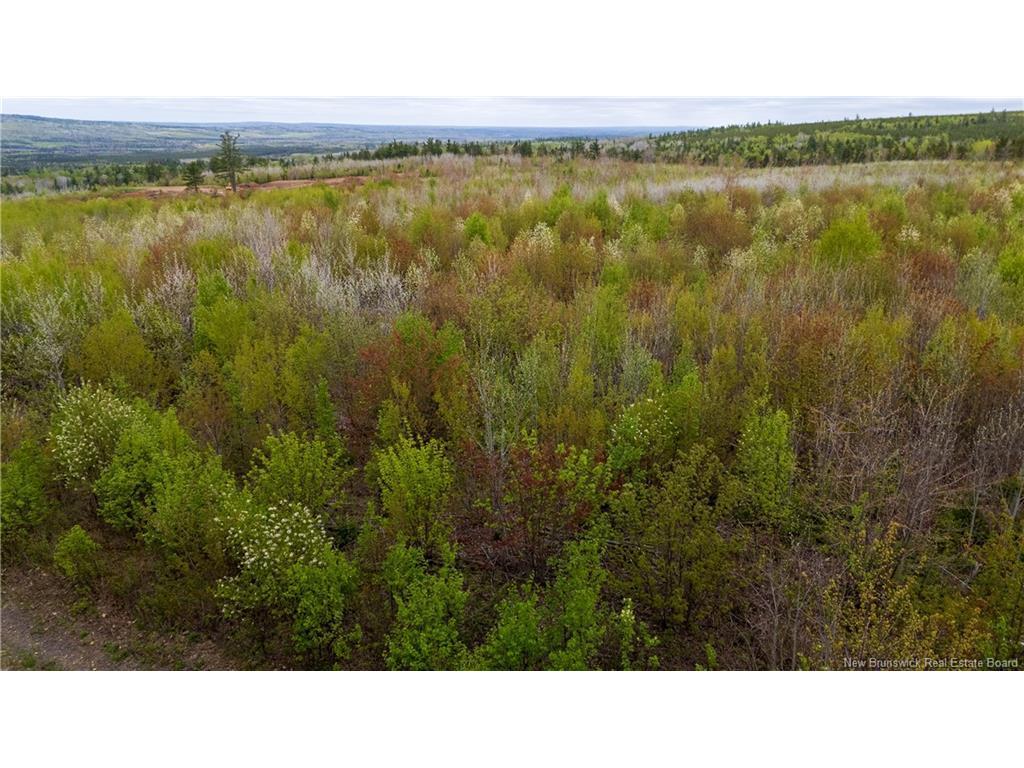 









LOT 40


Davidson

RD,
Anagance,







NB
E4Z 1E1

