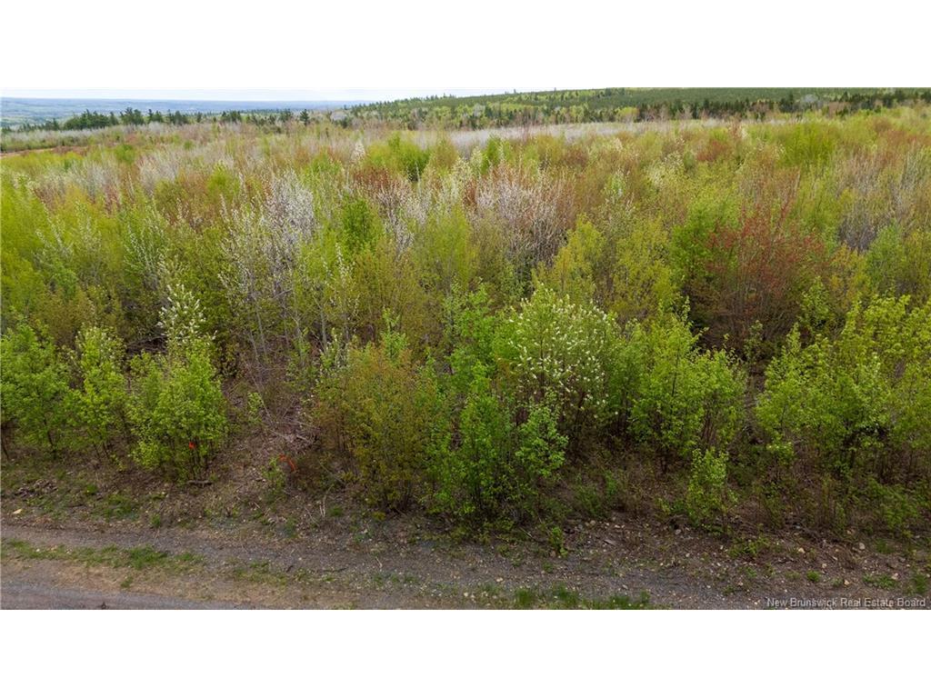 









LOT 40


Davidson

RD,
Anagance,







NB
E4Z 1E1

